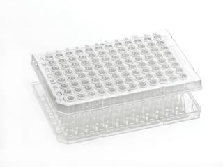 FrameStar® 96 Well Semi-Skirted PCR Plate Farba: clear wells, clear frame