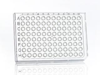 FrameStar® 96 Well Semi-Skirted PCR Plate, Roche Style Farba: clear wells, clear frame