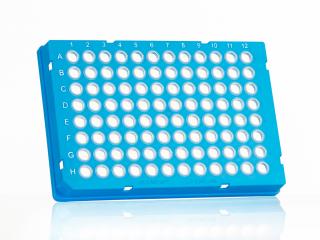 FrameStar® 96 Well Skirted PCR Plate Farba: clear wells, blue frame