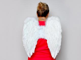 Anjelske krídla z peria 50x50cm